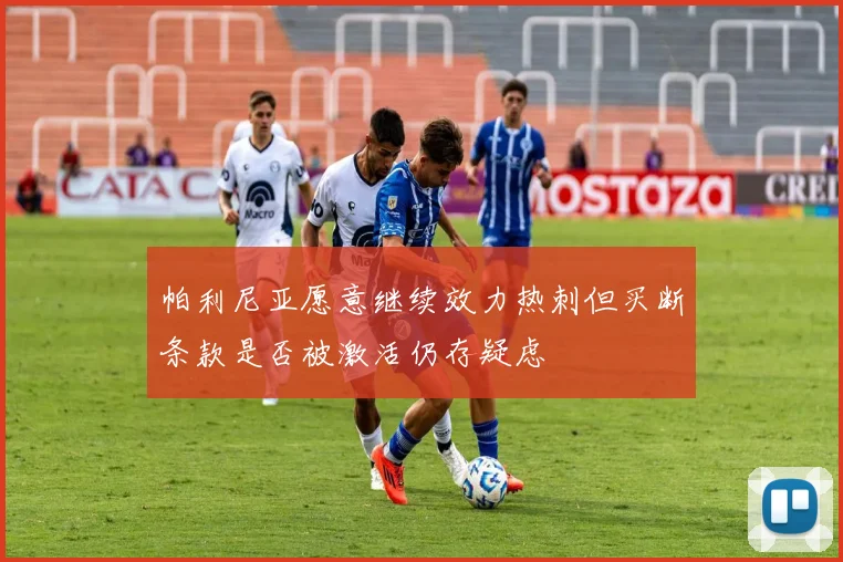 帕利尼亚愿意继续效力热刺但买断条款是否被激活仍存疑虑