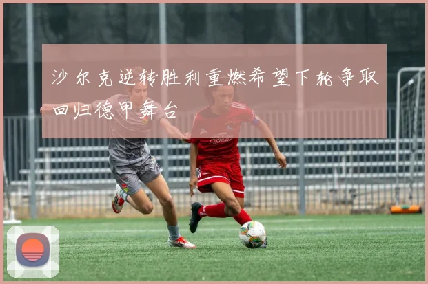 沙尔克逆转胜利重燃希望下轮争取回归德甲舞台