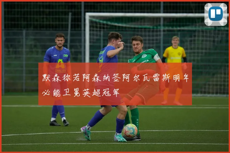 默森称若阿森纳签阿尔瓦雷斯明年必能卫冕英超冠军