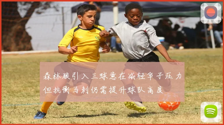 森林狼引入三球意在减轻华子压力但抗衡马刺仍需提升球队高度