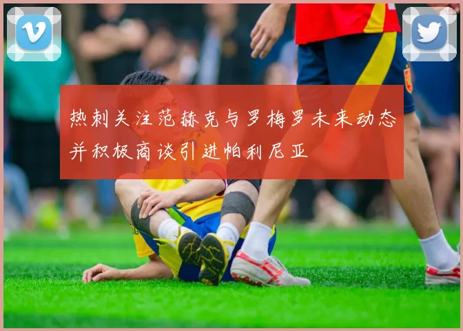 热刺关注范赫克与罗梅罗未来动态并积极商谈引进帕利尼亚